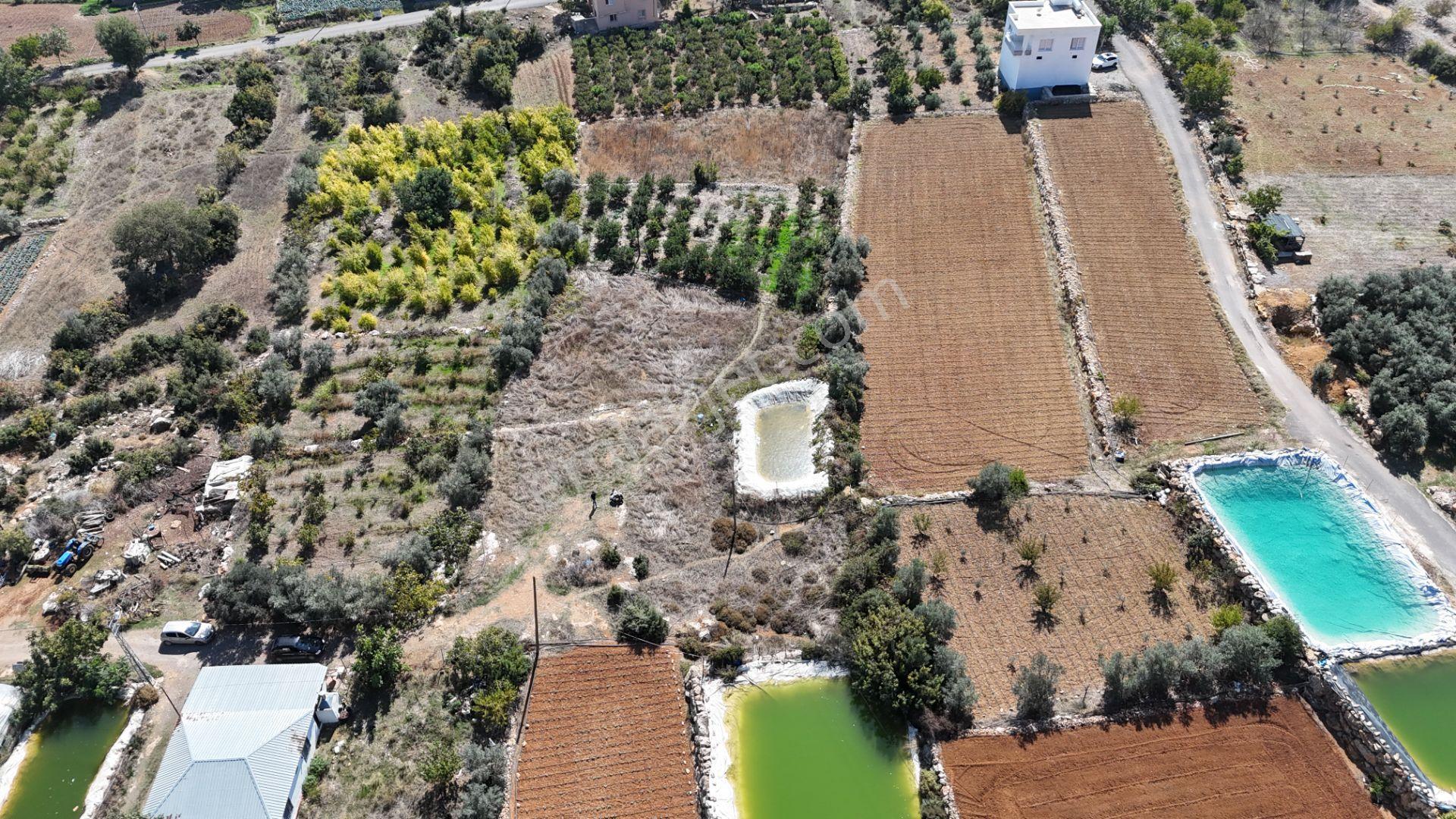 Mersin Erdemli Esenpınar Ağlıca Da 1731m2 Satılık Tarla — fotoğraf 7