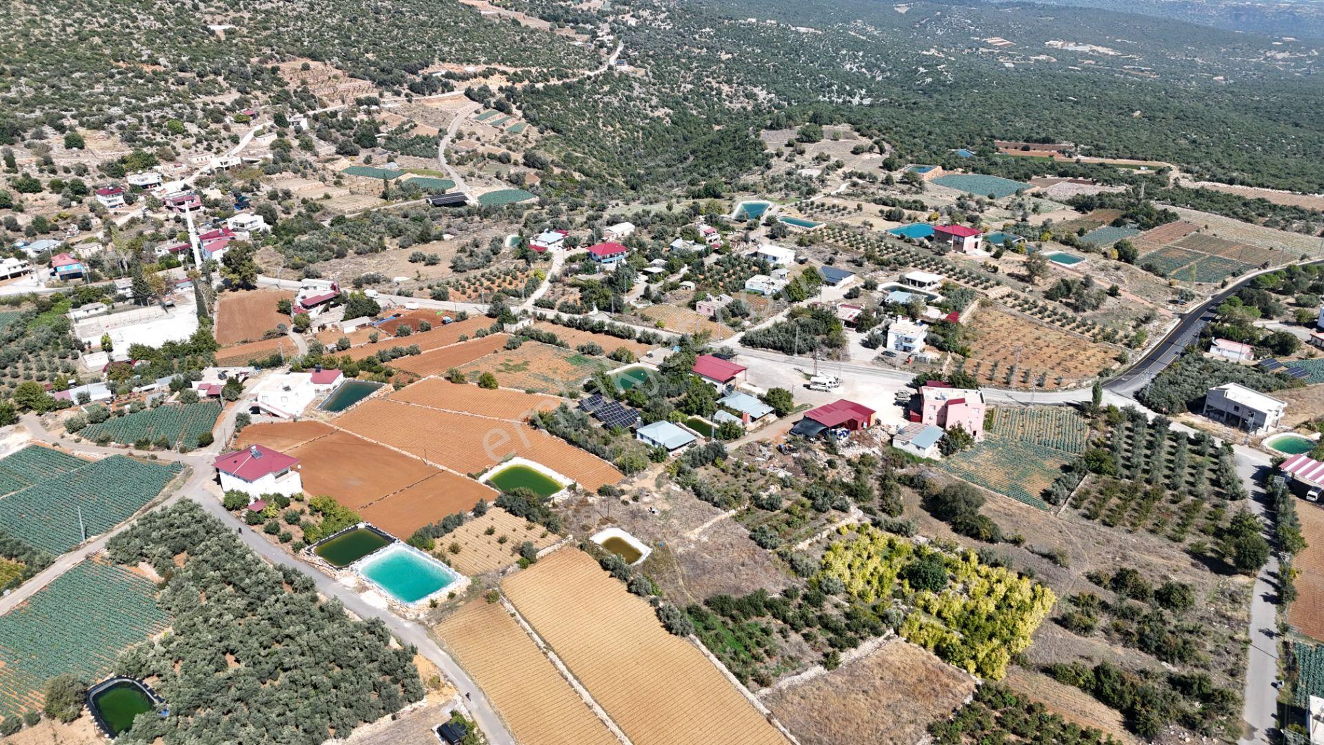 Mersin Erdemli Esenpınar Ağlıca Da 1731m2 Satılık Tarla — fotoğraf 8