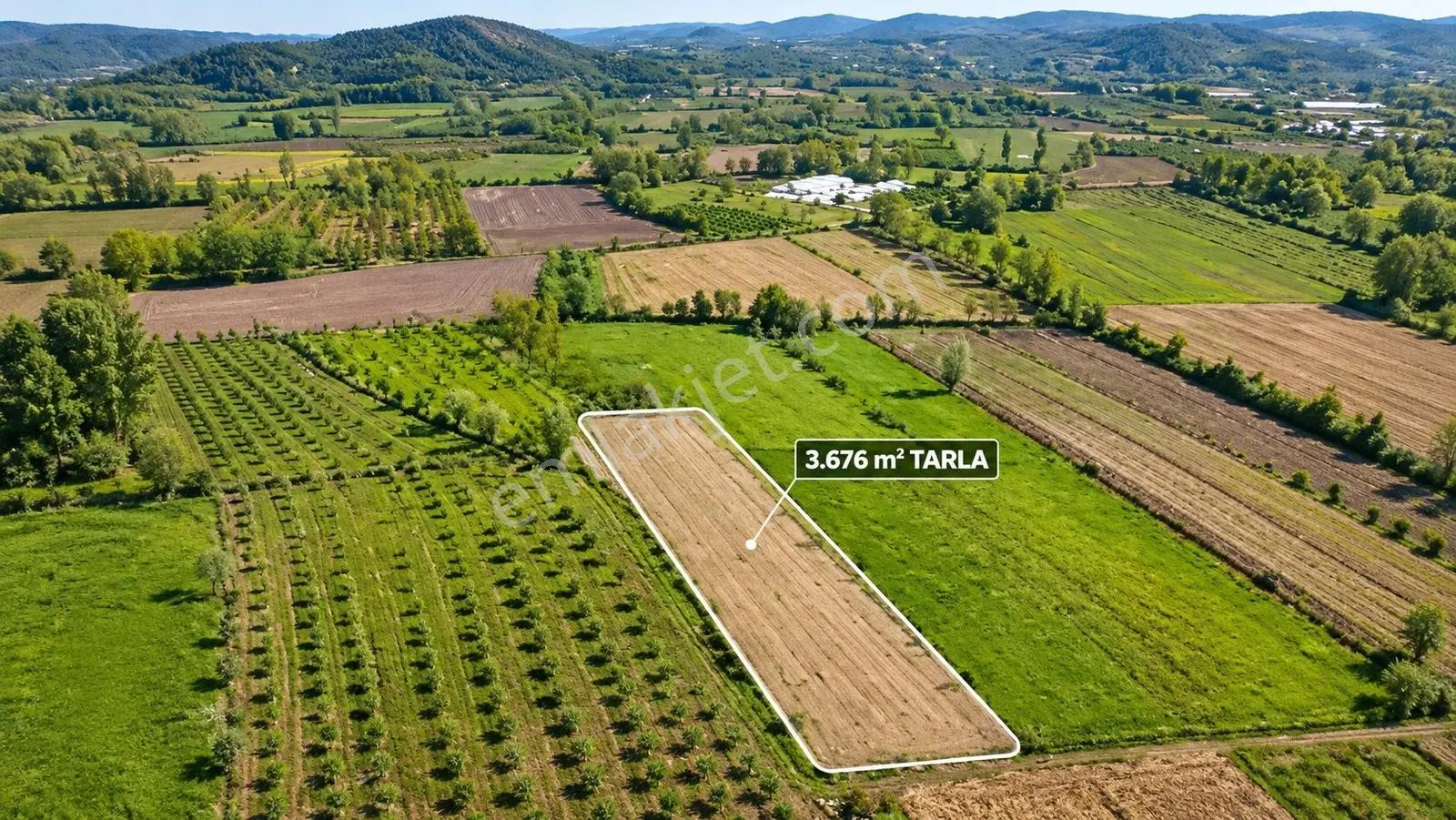 Yatırıma Uygun Çilimli'ye 10 Dk 3.676m2 Tarla Yola Cepheli — fotoğraf 3