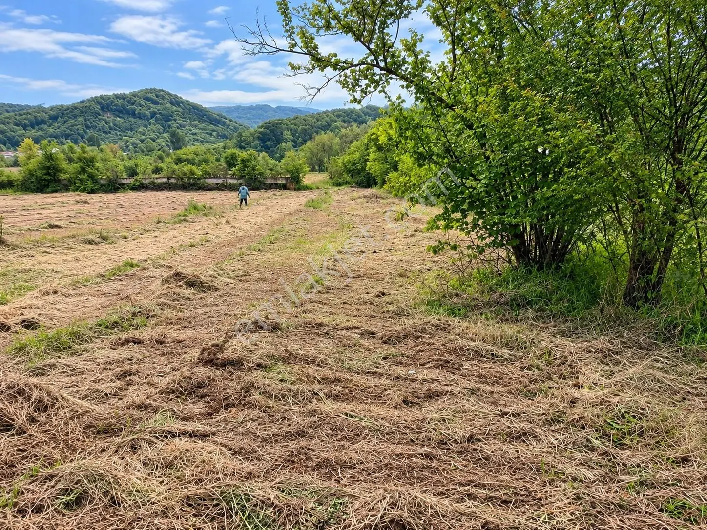 Yatırıma Uygun Çilimli'ye 10 Dk 3.676m2 Tarla Yola Cepheli — fotoğraf 6