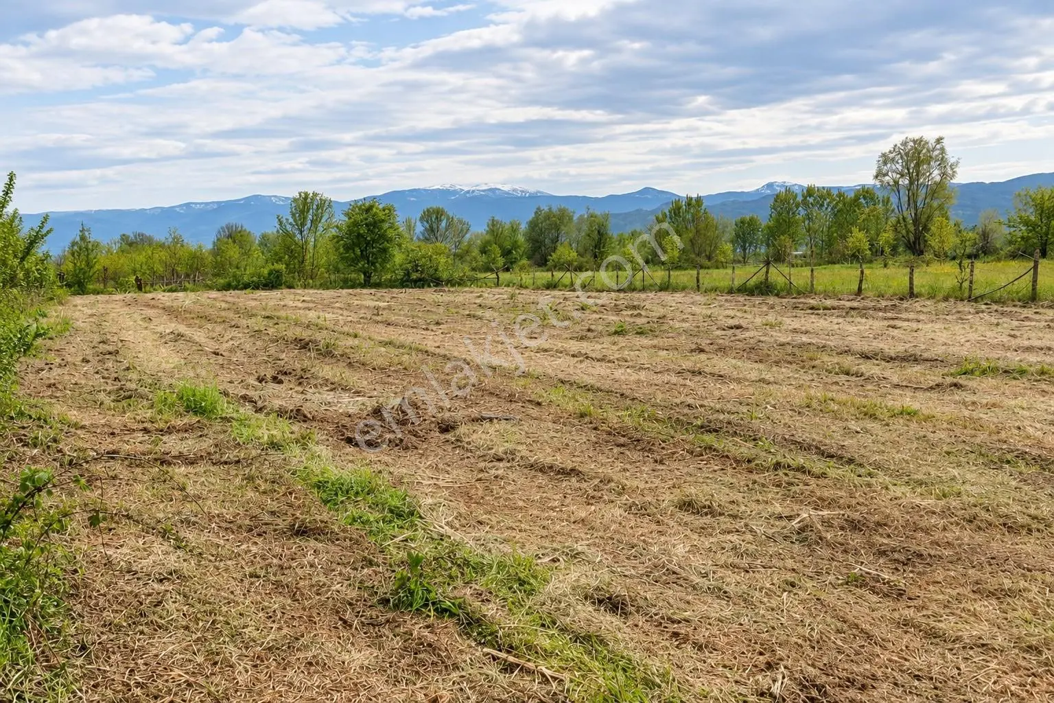 Yatırıma Uygun Çilimli'ye 10 Dk 3.676m2 Tarla Yola Cepheli — fotoğraf 7