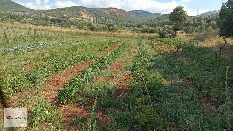 Tokat Pınarlı Köyünde Satılık Bağ — fotoğraf 4