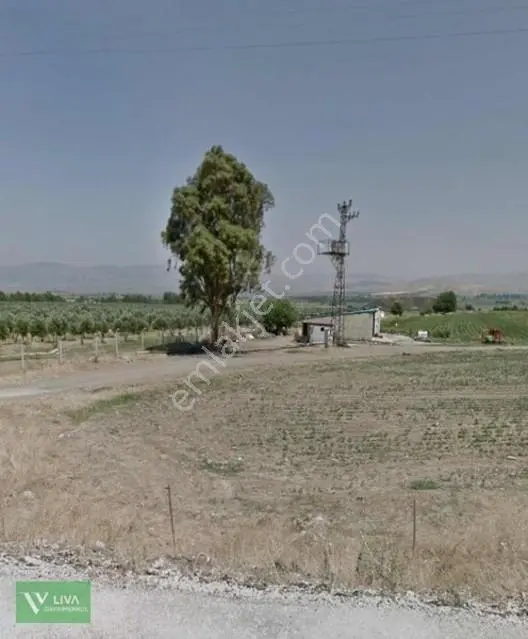 Satılık Tarla Anayola Cepheli Güzelcede — fotoğraf 11