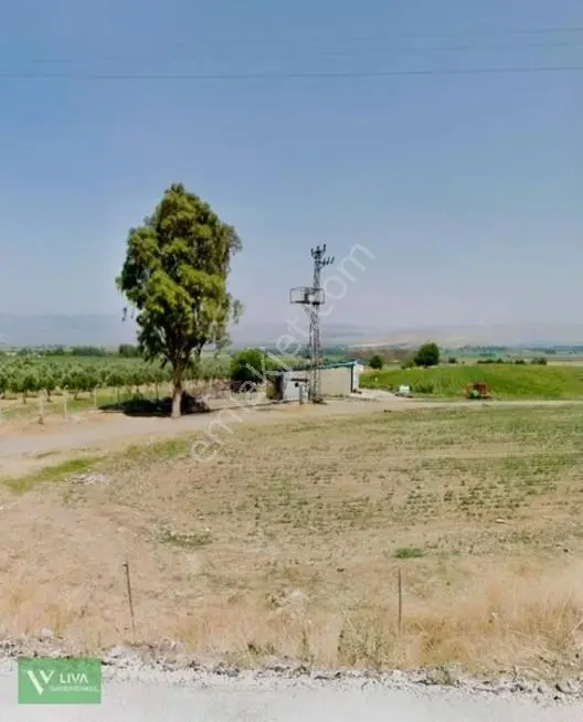 Satılık Tarla Anayola Cepheli Güzelcede — fotoğraf 12