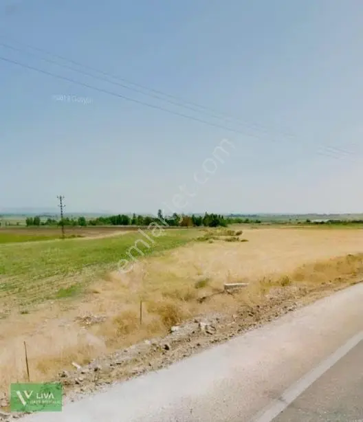 Satılık Tarla Anayola Cepheli Güzelcede — fotoğraf 15
