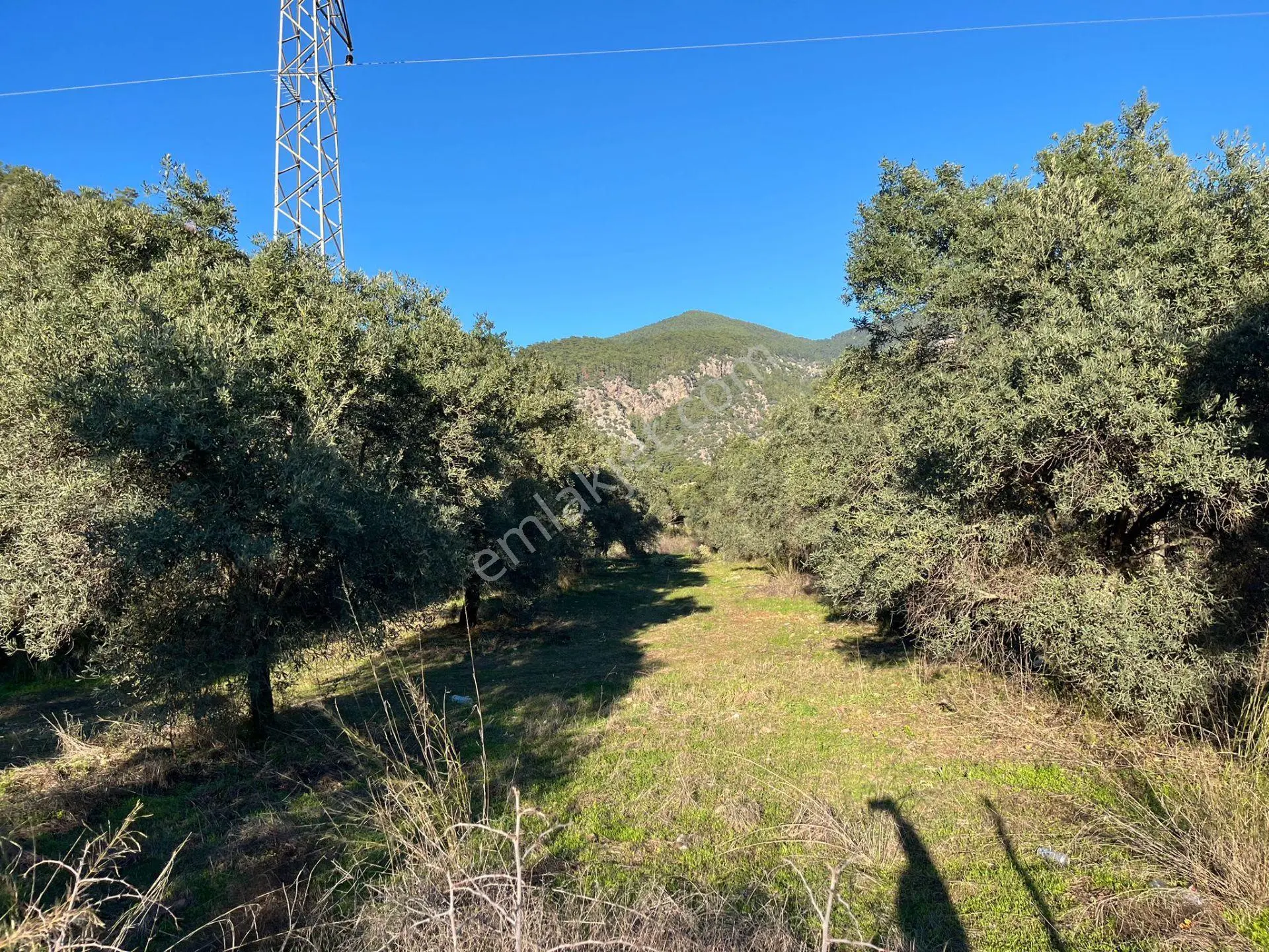 Köyceğiz, Ekincik Te Plaja Yakın Yatırma Uygun 1.600 M2 Arazi Satılık