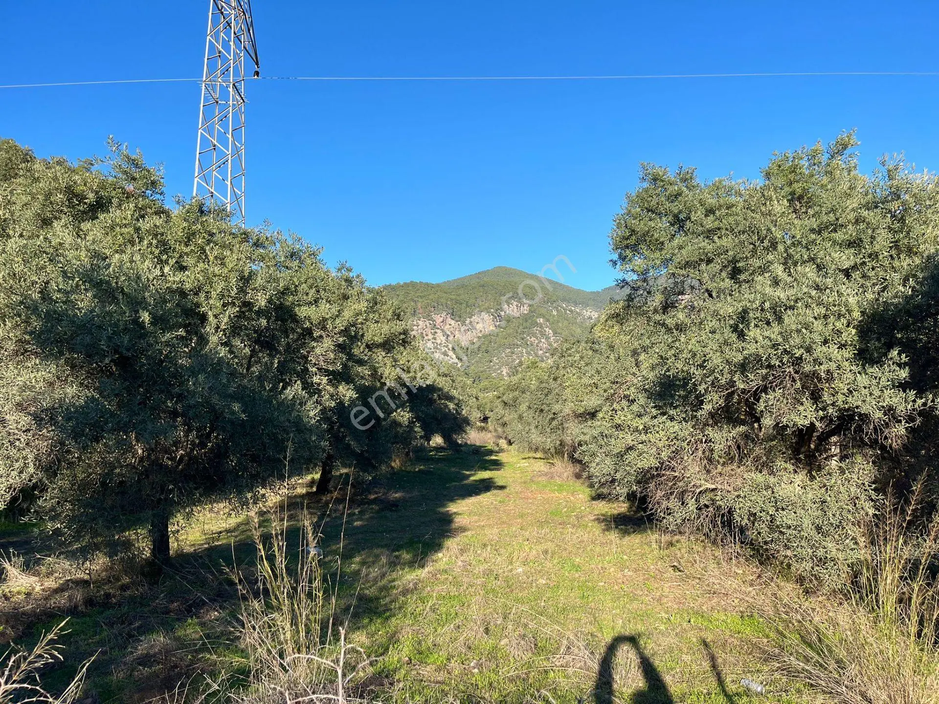 Köyceğiz, Ekincik Te Plaja Yakın Yatırma Uygun 1.600 M2 Arazi Satılık — fotoğraf 2