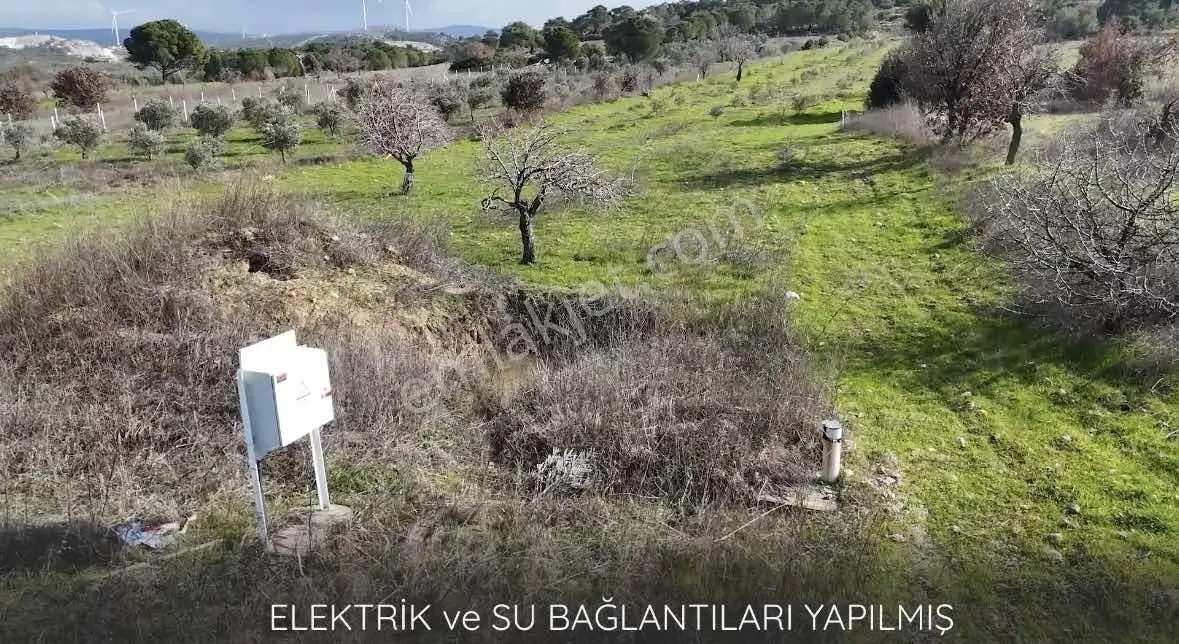 Bergama Örlemiş Müstakil Tapulu Satılık Tarla — fotoğraf 5