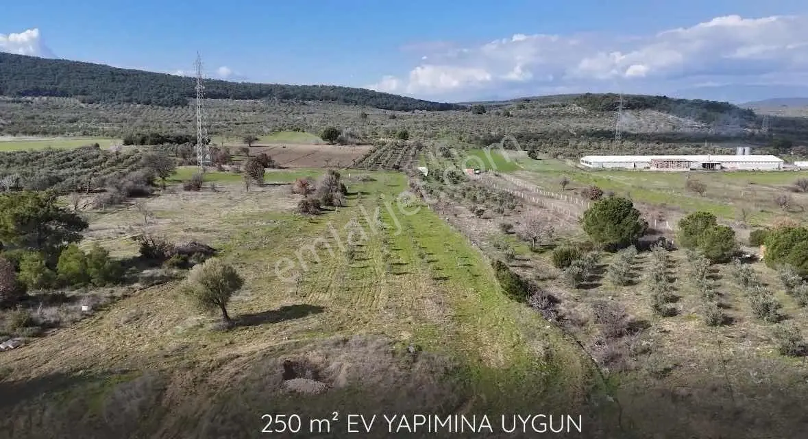 Bergama Örlemiş Müstakil Tapulu Satılık Tarla — fotoğraf 9