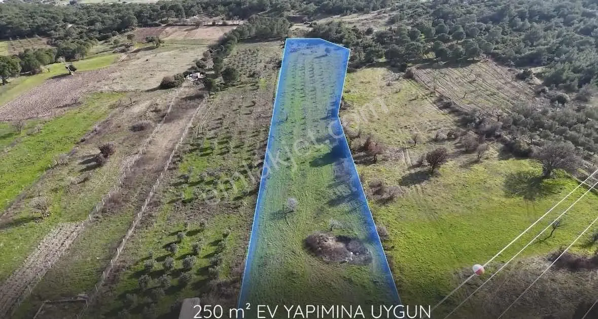 Bergama Örlemiş Müstakil Tapulu Satılık Tarla — fotoğraf 10