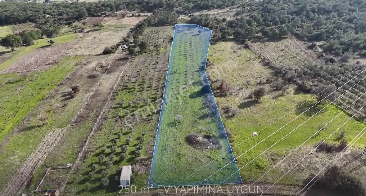 Bergama Örlemiş Müstakil Tapulu Satılık Tarla — fotoğraf 11