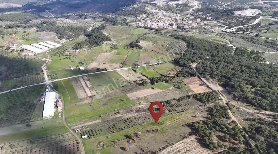 Bergama Örlemiş Müstakil Tapulu Satılık Tarla — fotoğraf 12