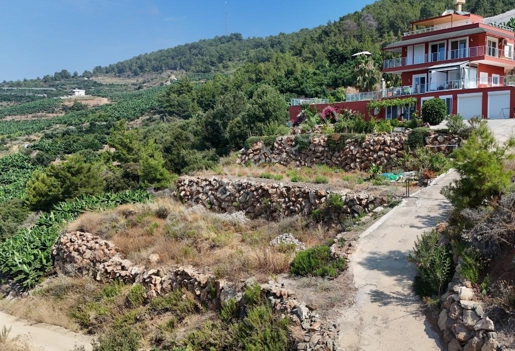 Denız Ve Muz Bahçelerı Manzaralı D400' E Yakın | Hafrıyatlı Arsa — fotoğraf 4