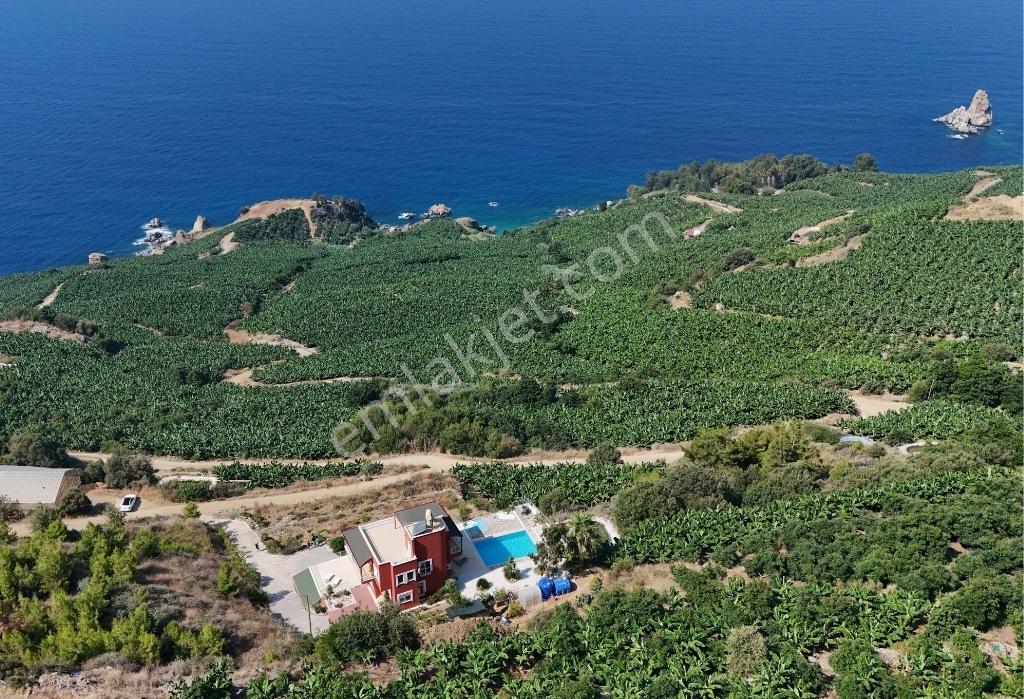 Denız Ve Muz Bahçelerı Manzaralı D400' E Yakın | Hafrıyatlı Arsa — fotoğraf 5