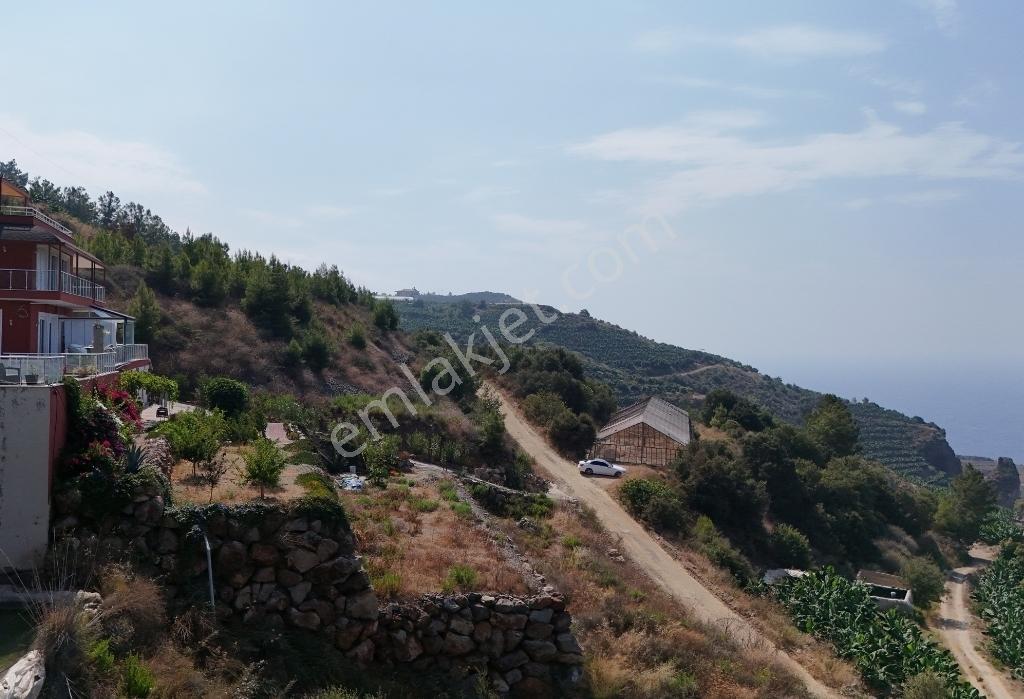 Denız Ve Muz Bahçelerı Manzaralı D400' E Yakın | Hafrıyatlı Arsa — fotoğraf 9