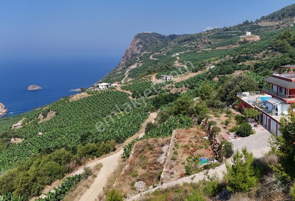 Denız Ve Muz Bahçelerı Manzaralı D400' E Yakın | Hafrıyatlı Arsa — fotoğraf 10
