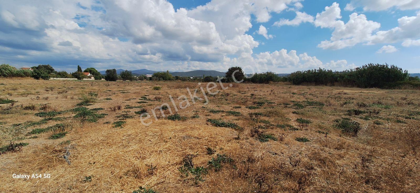 Urla İskelede Toprak Sahibi Olmanın Tam Zamanı — fotoğraf 2