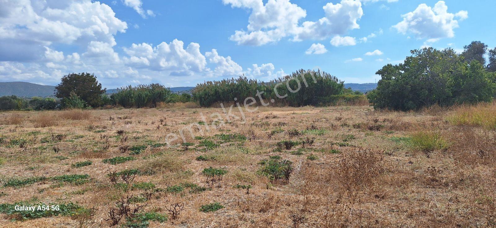Urla İskelede Toprak Sahibi Olmanın Tam Zamanı — fotoğraf 6