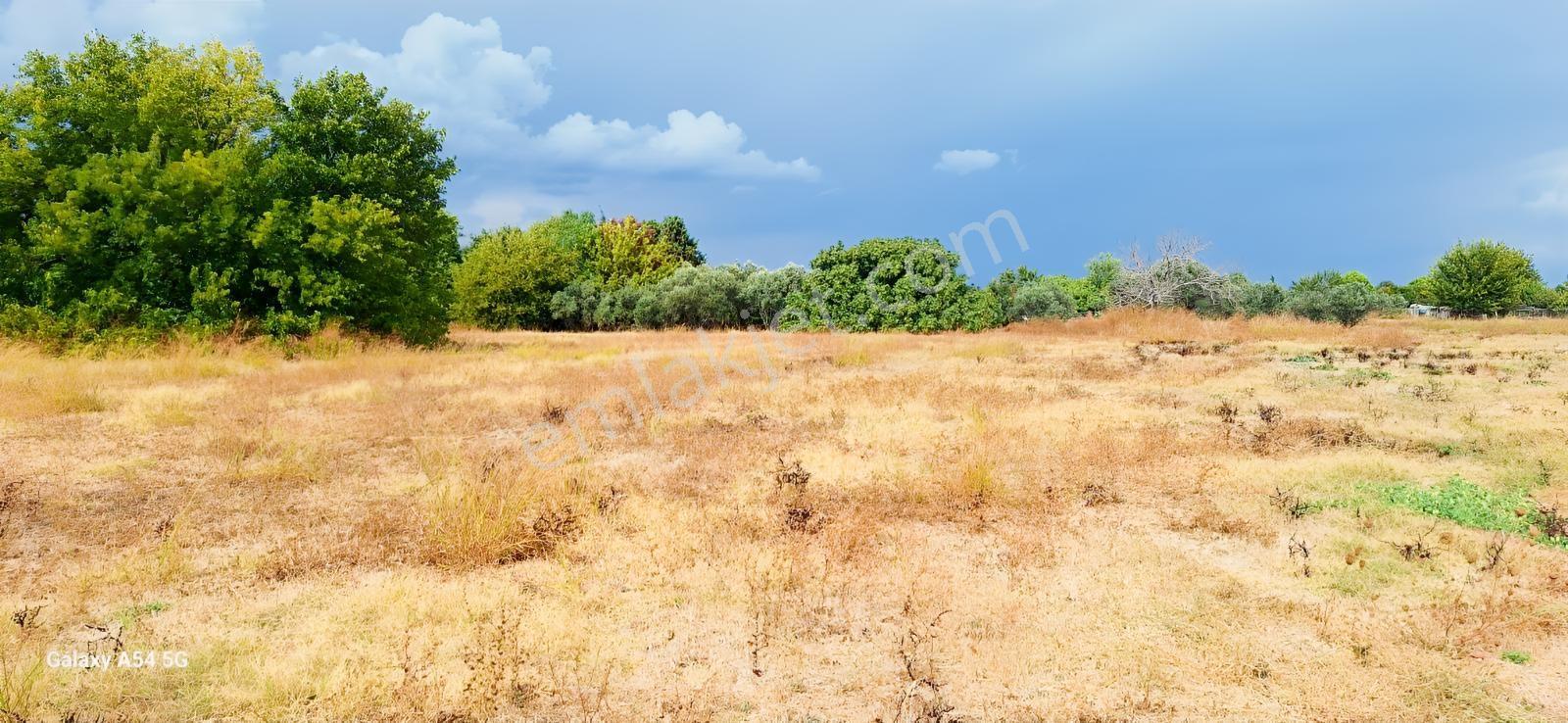 Urla İskelede Toprak Sahibi Olmanın Tam Zamanı — fotoğraf 7