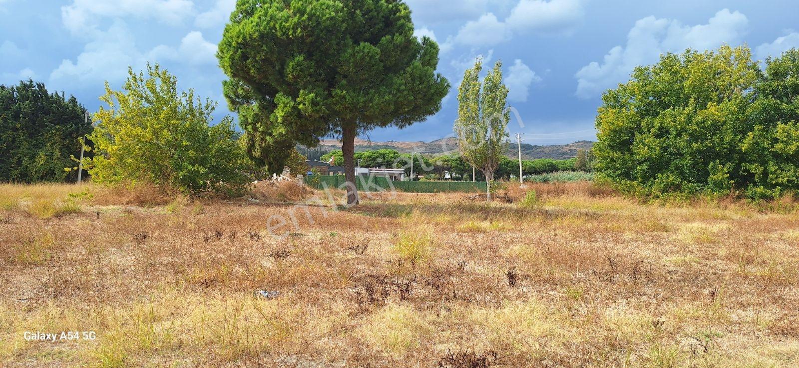 Urla İskelede Toprak Sahibi Olmanın Tam Zamanı — fotoğraf 8