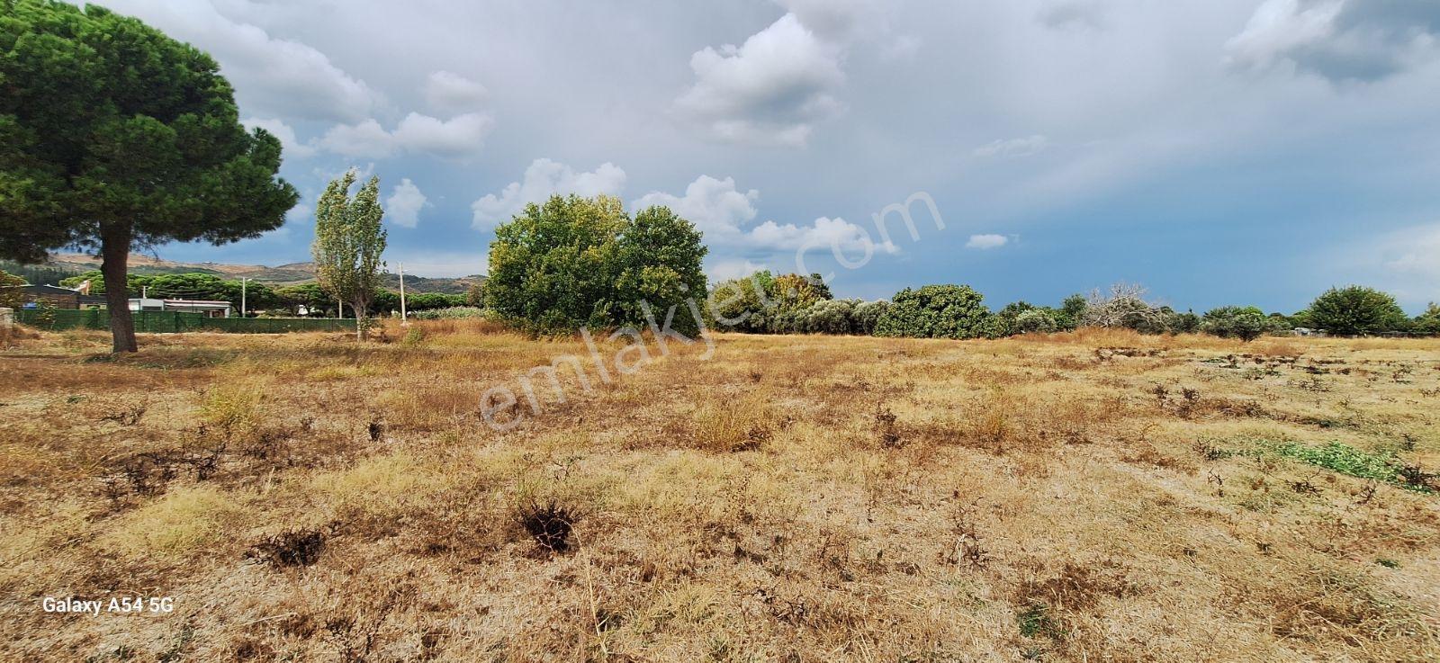 Urla İskelede Toprak Sahibi Olmanın Tam Zamanı — fotoğraf 12