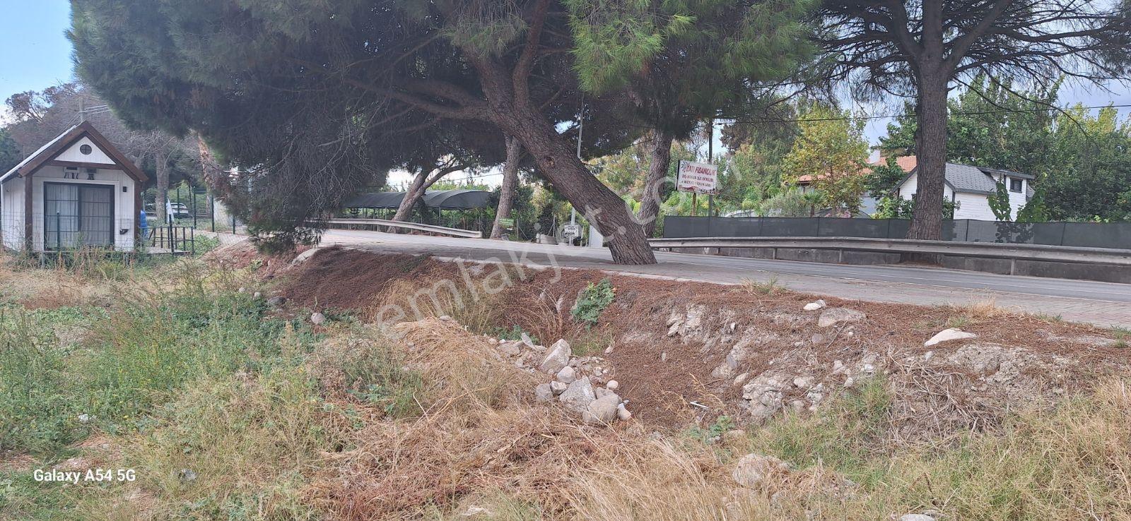 Urla İskelede Toprak Sahibi Olmanın Tam Zamanı — fotoğraf 25