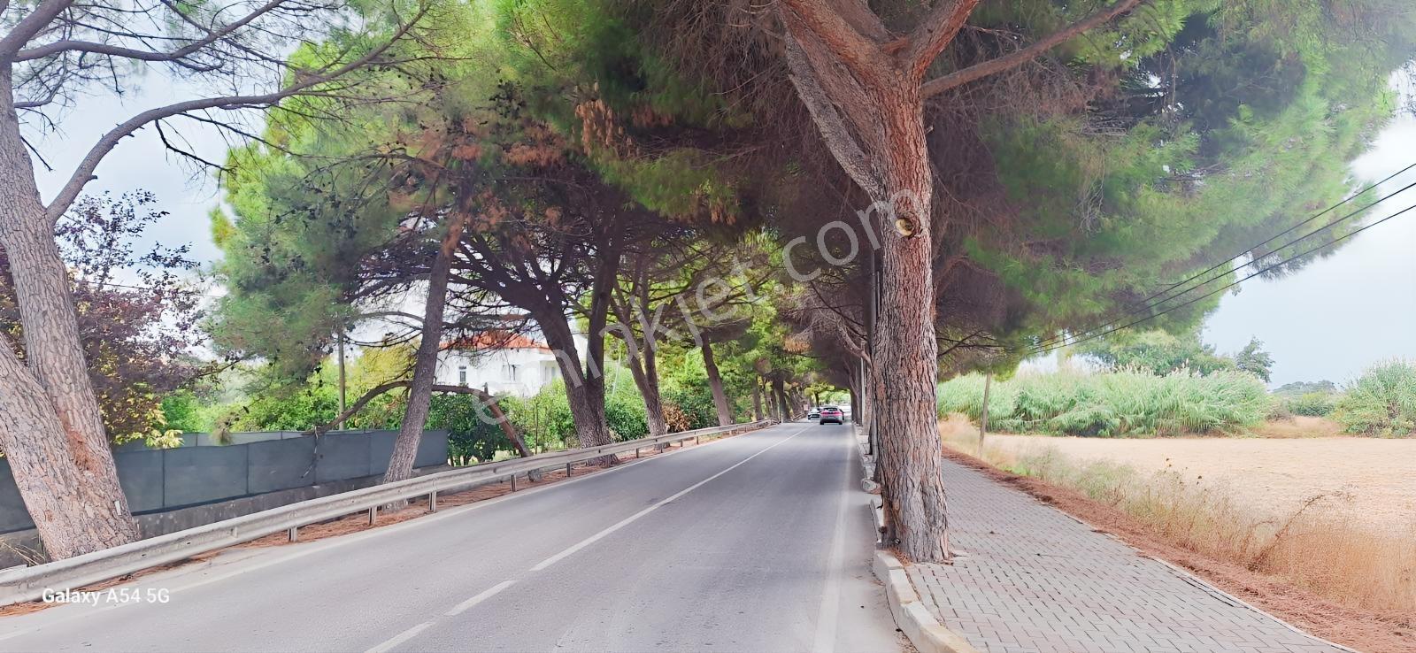Urla İskelede Toprak Sahibi Olmanın Tam Zamanı — fotoğraf 26