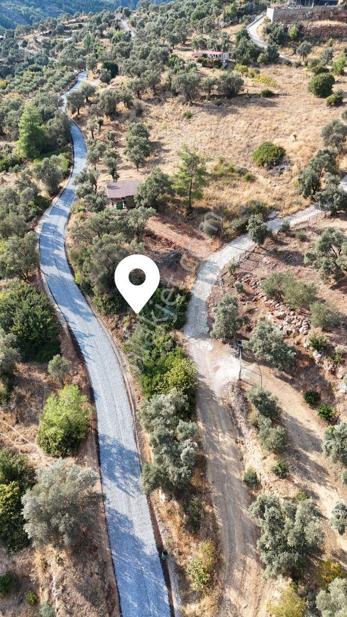 Zeytinköy Taşcağızda Akbüke Yakın,deniz Manzaralı 407 M² Tarla — fotoğraf 7