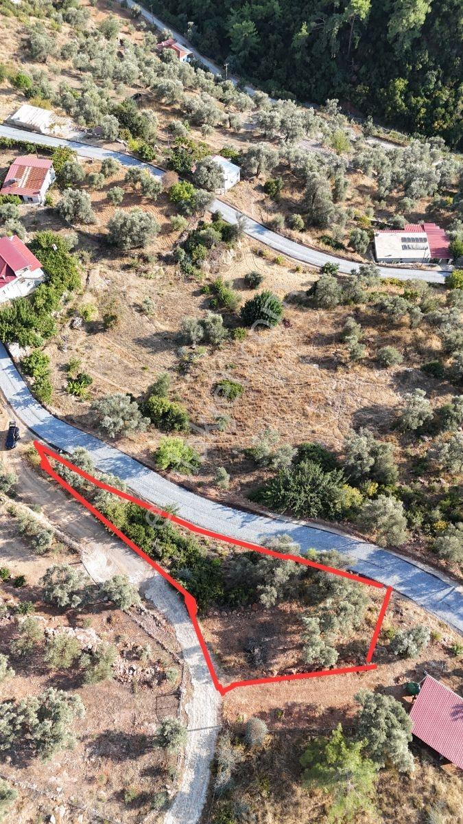 Zeytinköy Taşcağızda Akbüke Yakın,deniz Manzaralı 407 M² Tarla — fotoğraf 8