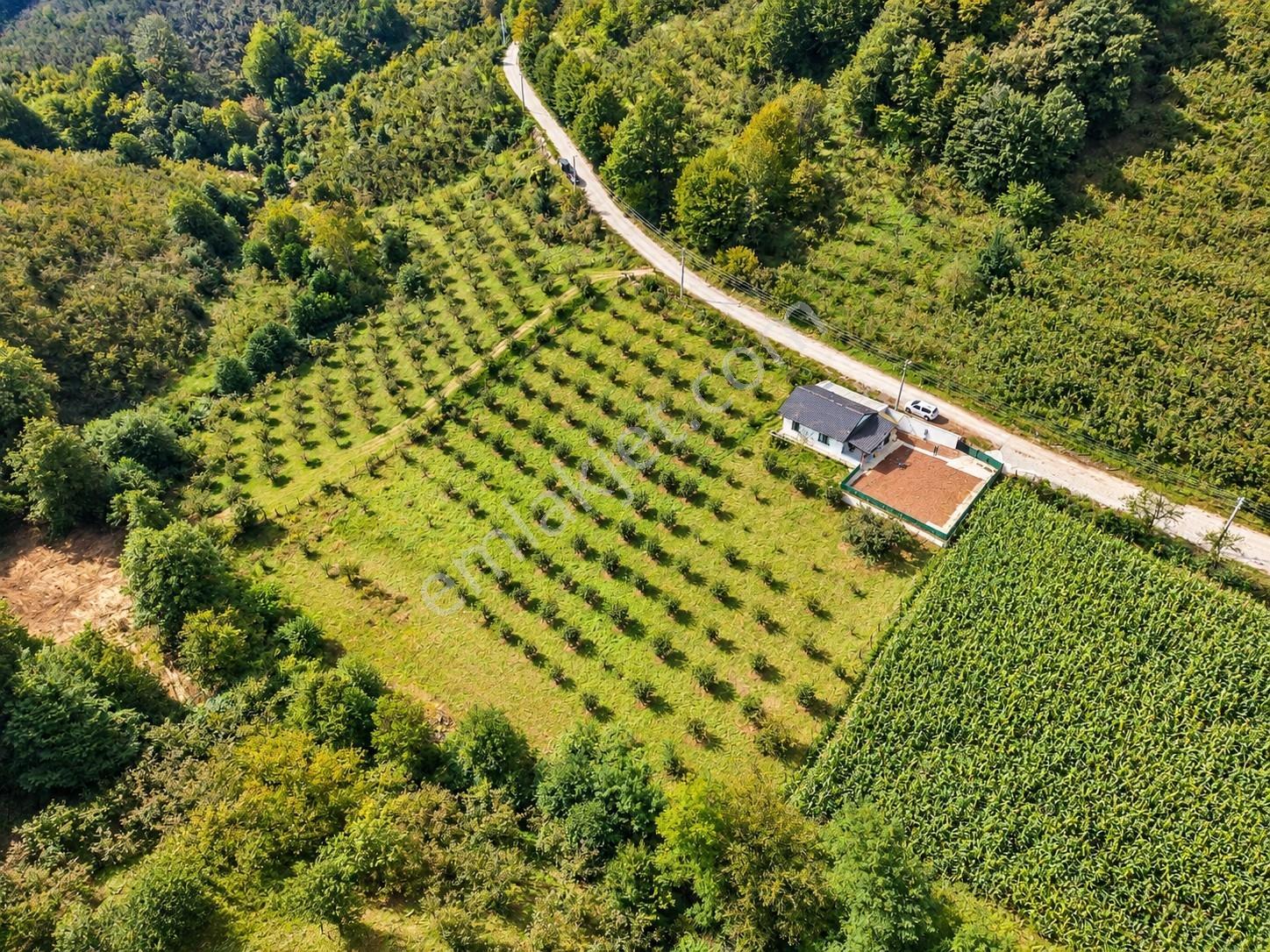 Hak Emlak'tan Yayla Köyünde Asfalt Yola Cepheli 2+1 M.ev Ve Arsa — fotoğraf 4