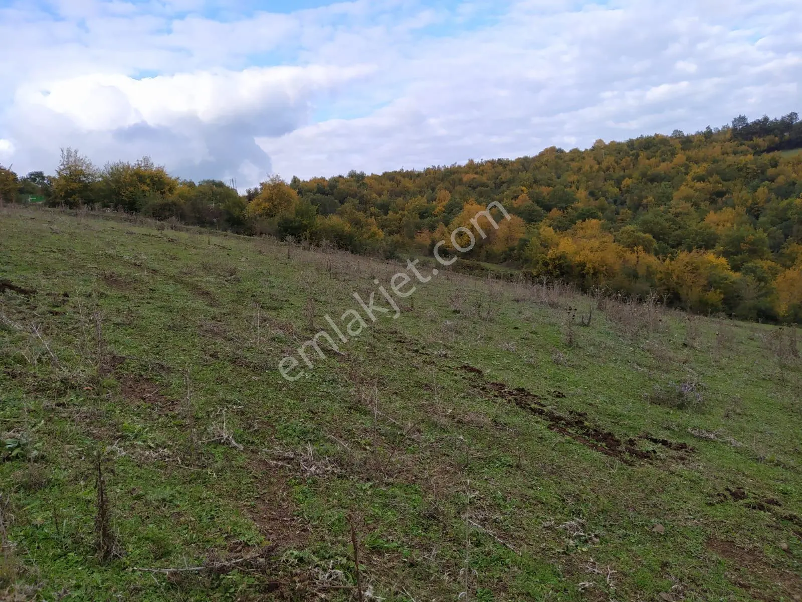 Akgün Kurumsal'dan Atakum İncesu'da Deniz Manzaralı Villalık 3072 Metre Kare Arsa — fotoğraf 17