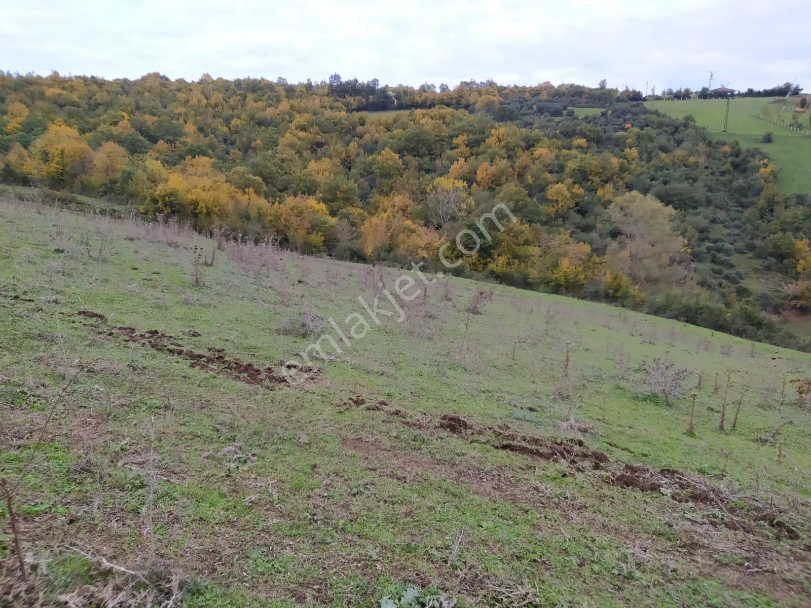 Akgün Kurumsal'dan Atakum İncesu'da Deniz Manzaralı Villalık 3072 Metre Kare Arsa — fotoğraf 51