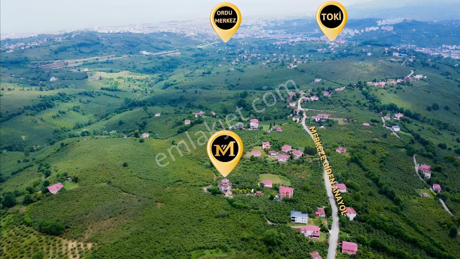 Mabel'den Yemişli'de Deniz Manzaralı, Yaşama Hazır Bir Tripleks — fotoğraf 3