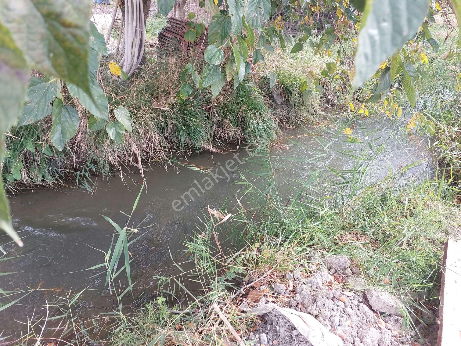 Mugla Dalyan Da 7 224 M2 Müstakil Tarla Satılık Veya Ortaca Dan Daire Takas Olur — fotoğraf 6