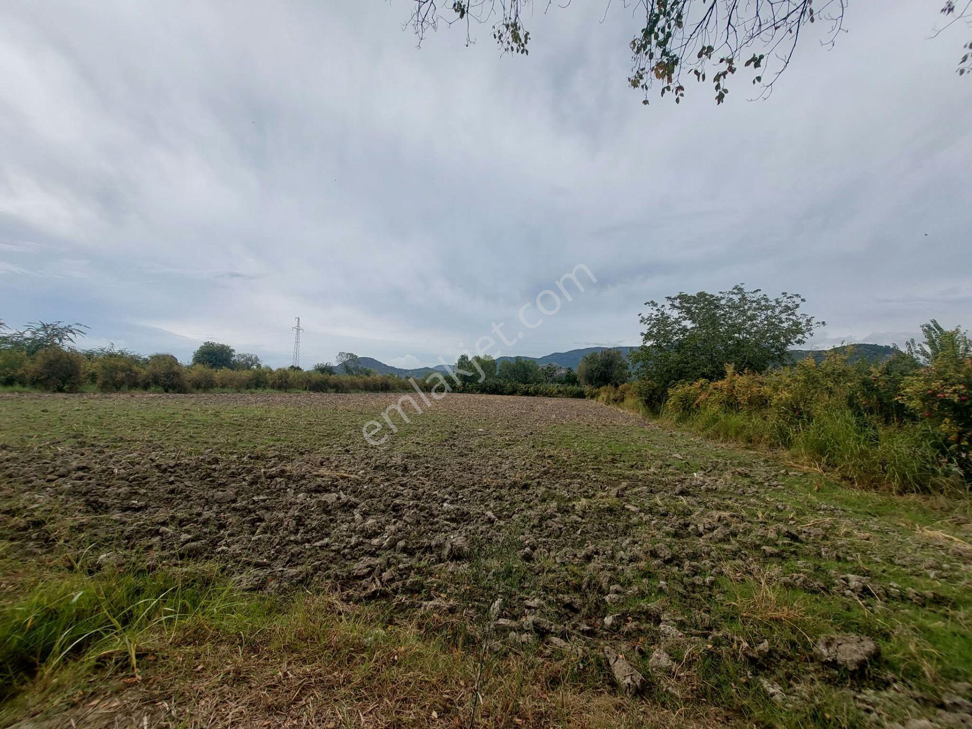 Mugla Dalyan Da 7 224 M2 Müstakil Tarla Satılık Veya Ortaca Dan Daire Takas Olur — fotoğraf 7
