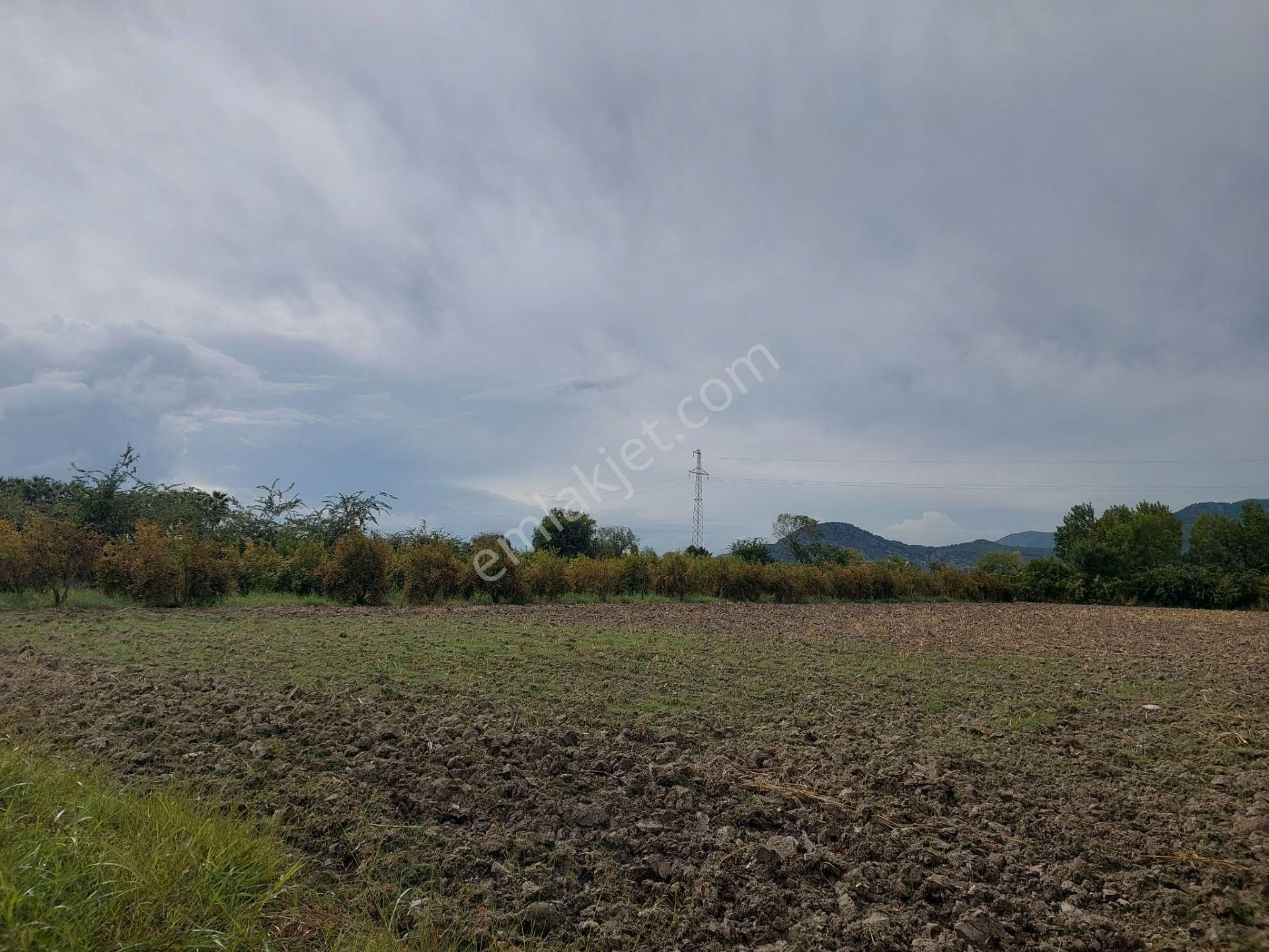Mugla Dalyan Da 7 224 M2 Müstakil Tarla Satılık Veya Ortaca Dan Daire Takas Olur — fotoğraf 10
