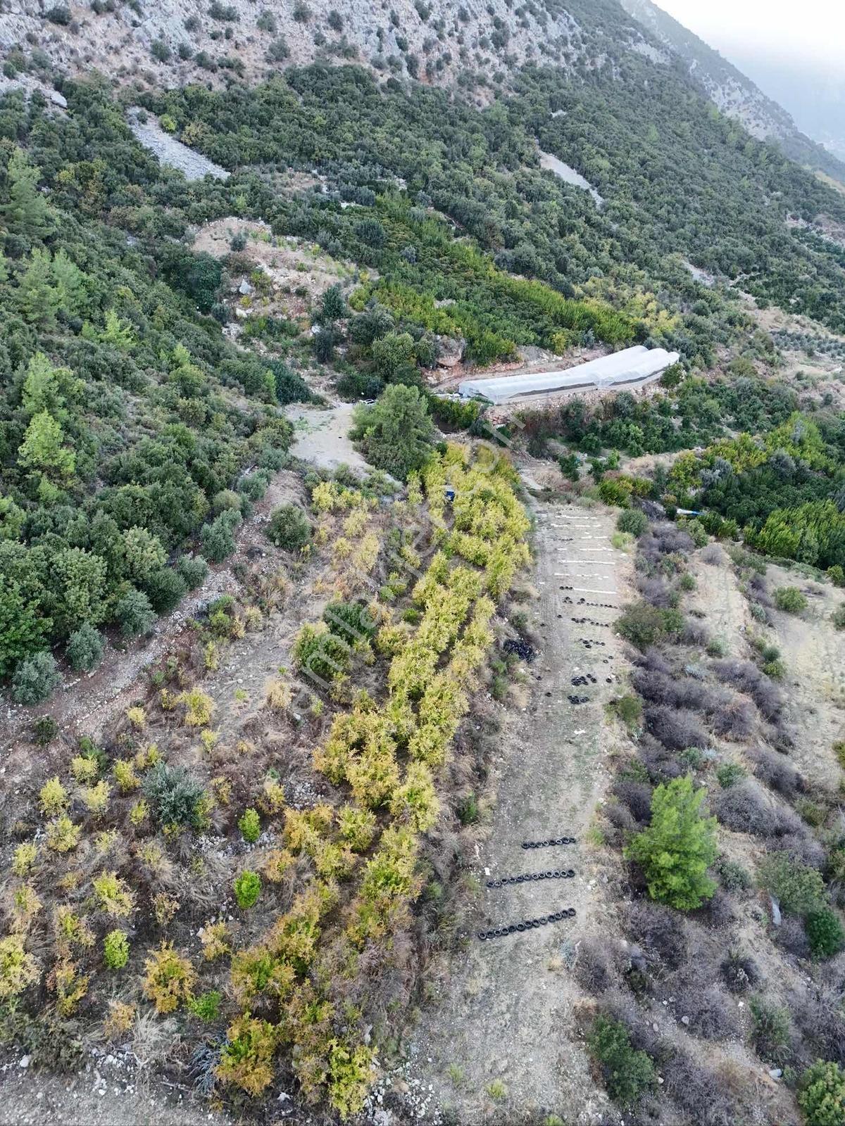 Full Deniz Manzaralı Bir Kısmı İmatlı Finike De Arsa Ve Tarla — fotoğraf 2