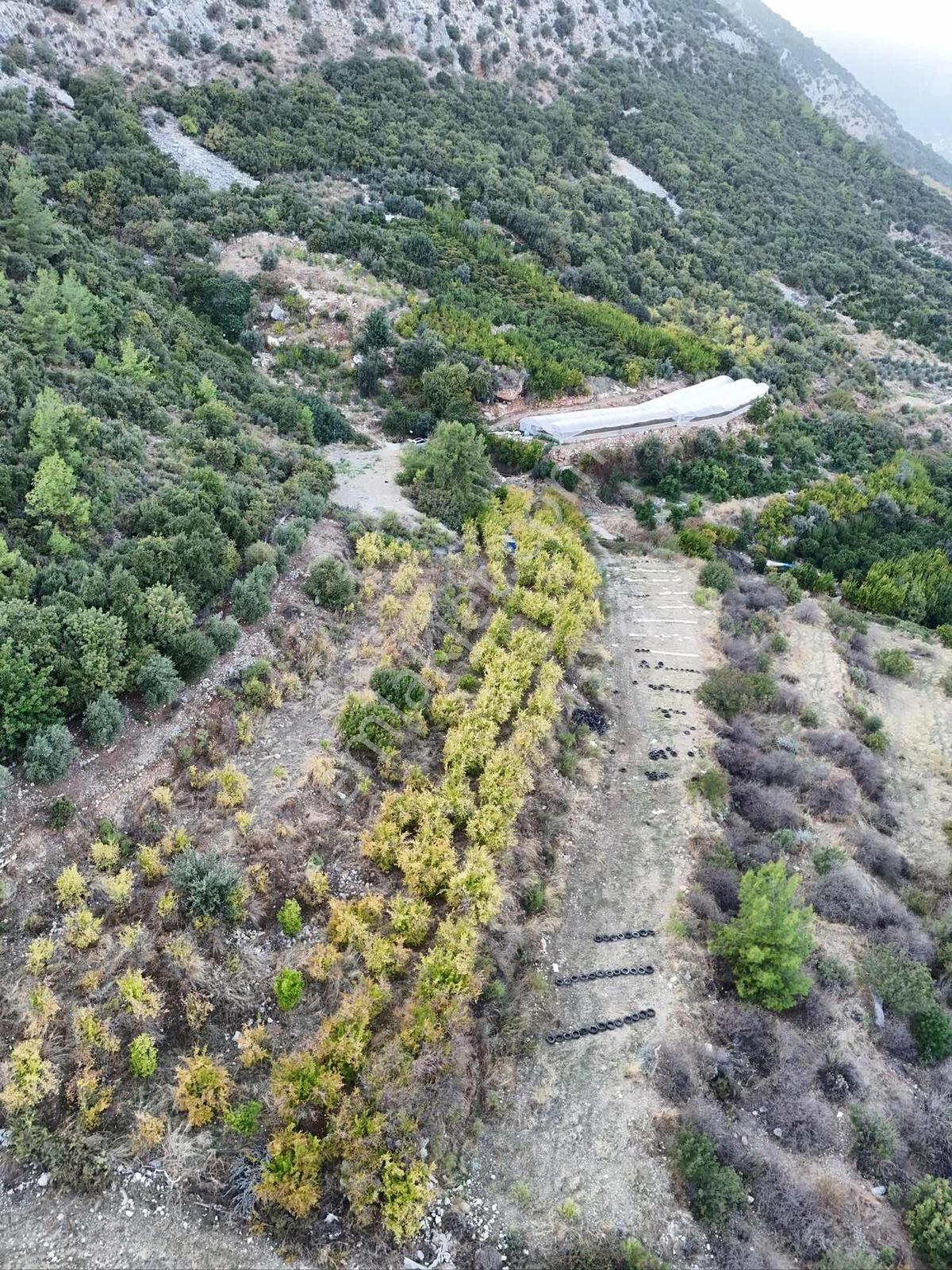 Full Deniz Manzaralı Bir Kısmı İmatlı Finike De Arsa Ve Tarla — fotoğraf 3