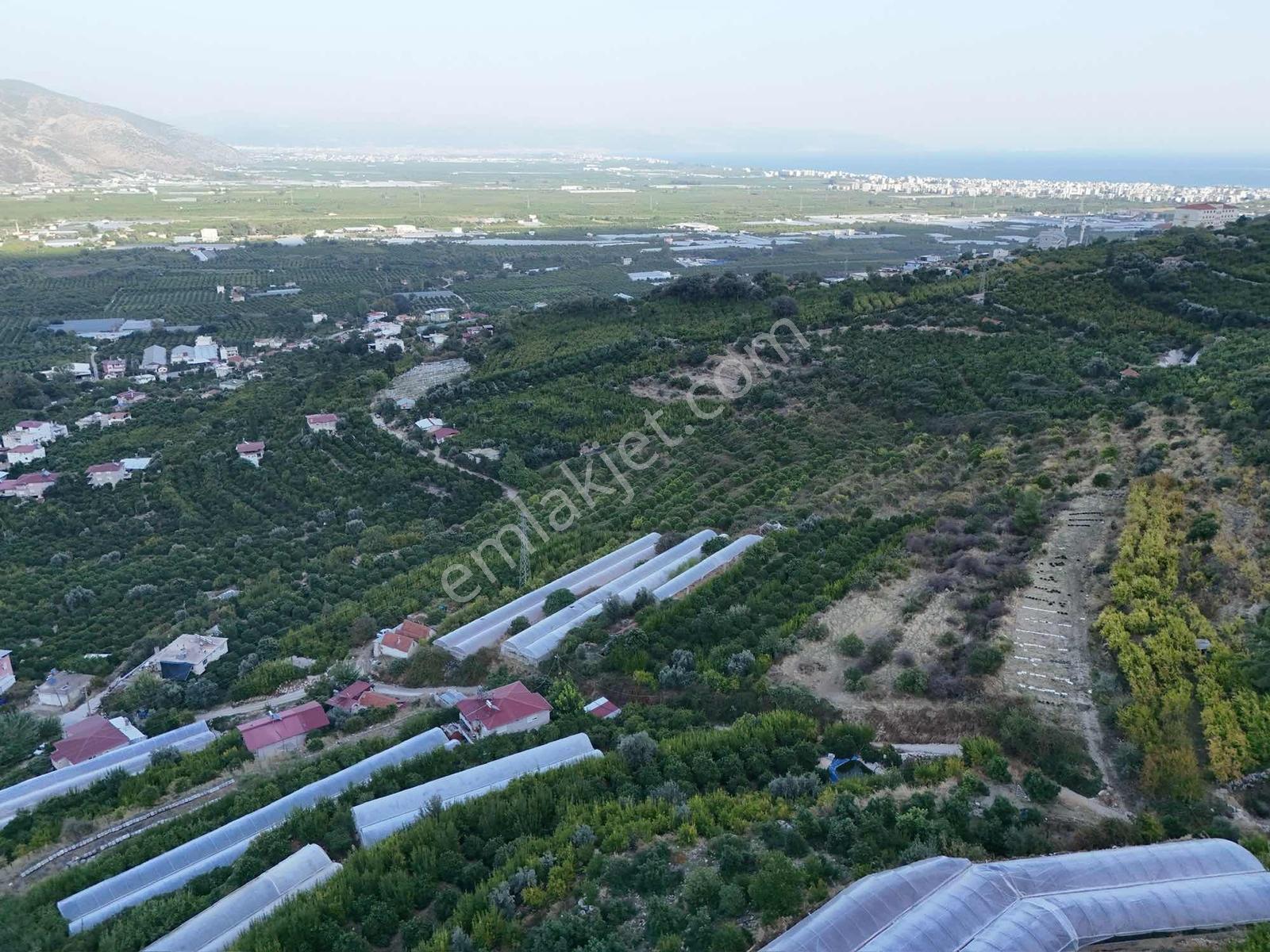 Full Deniz Manzaralı Bir Kısmı İmatlı Finike De Arsa Ve Tarla — fotoğraf 5