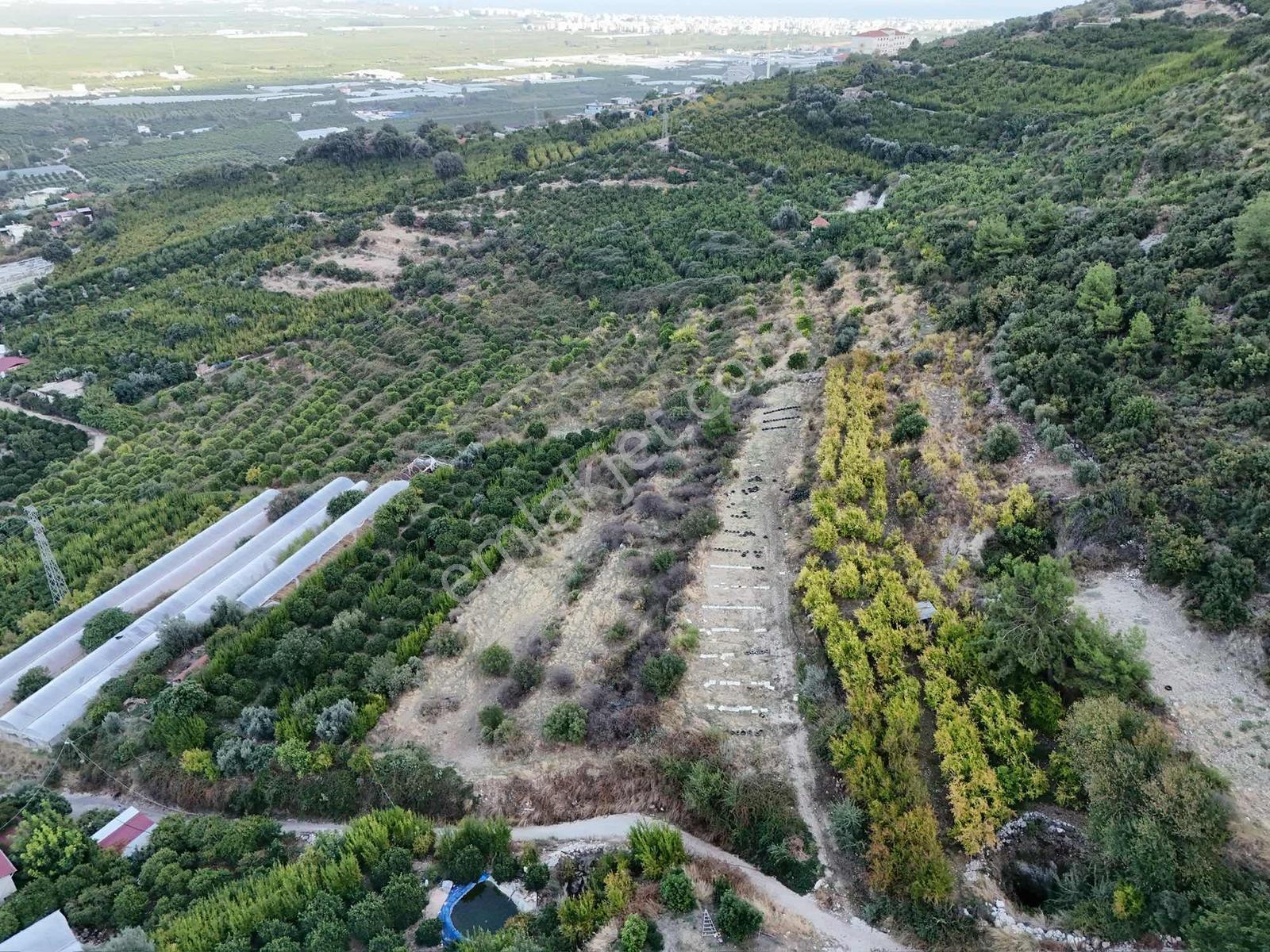 Full Deniz Manzaralı Bir Kısmı İmatlı Finike De Arsa Ve Tarla — fotoğraf 8