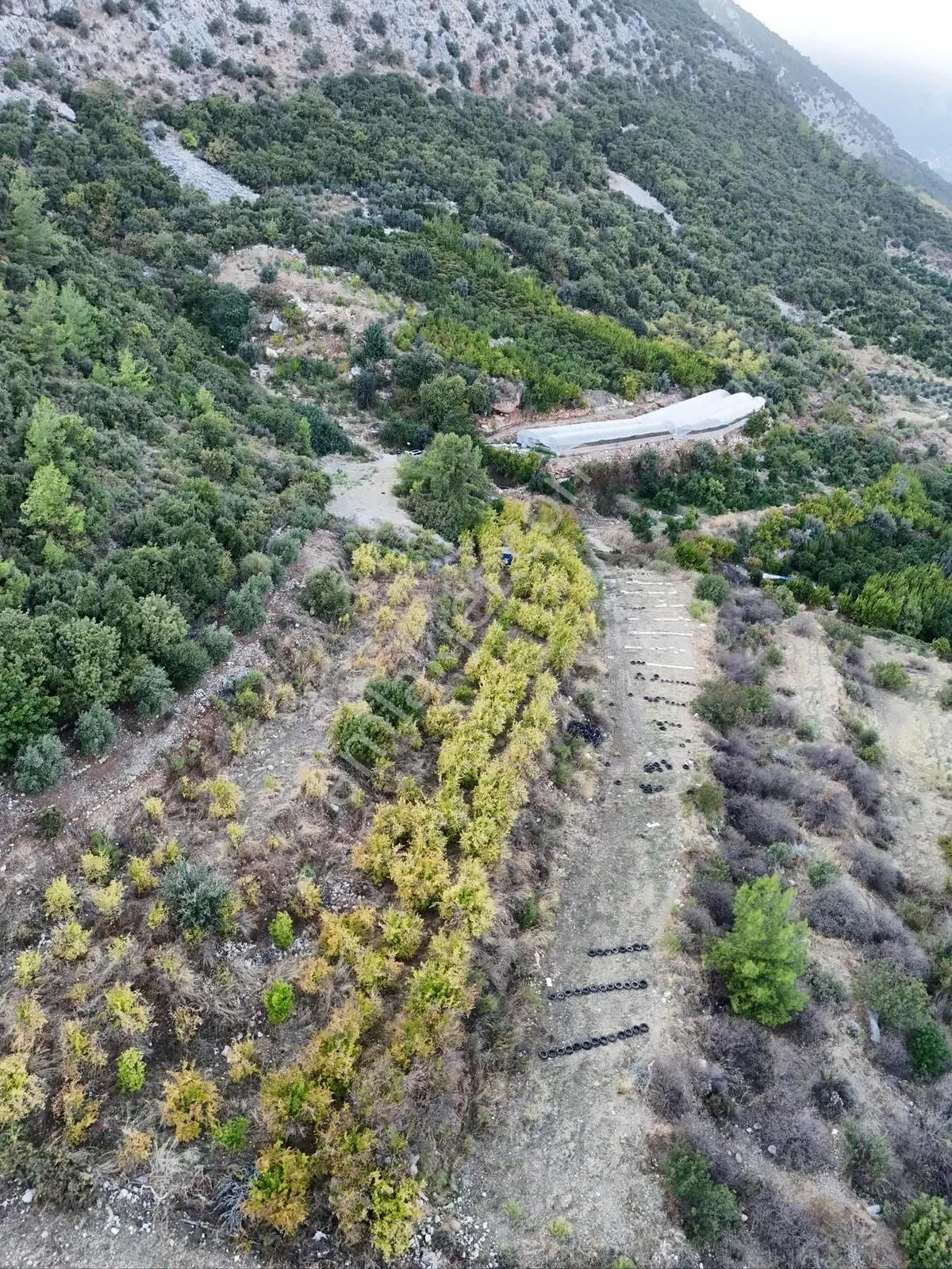 Full Deniz Manzaralı Bir Kısmı İmatlı Finike De Arsa Ve Tarla — fotoğraf 10