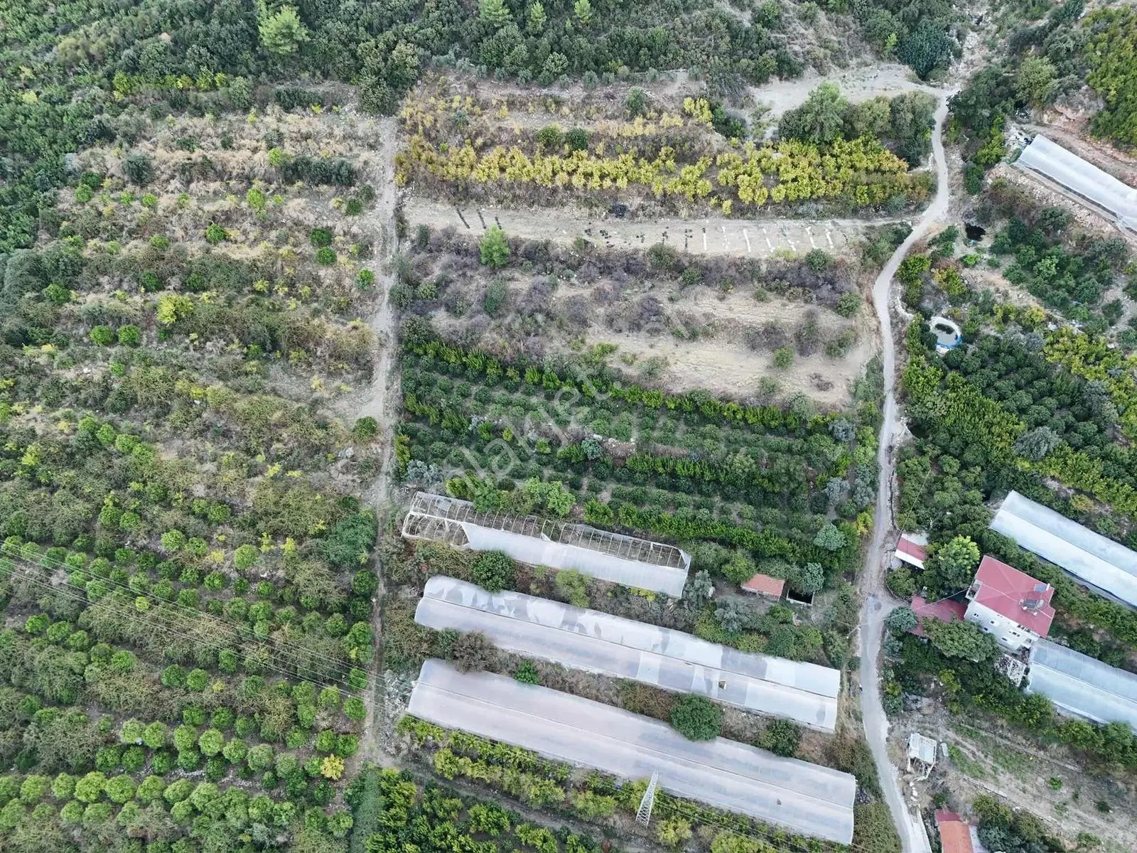 Full Deniz Manzaralı Bir Kısmı İmatlı Finike De Arsa Ve Tarla — fotoğraf 15