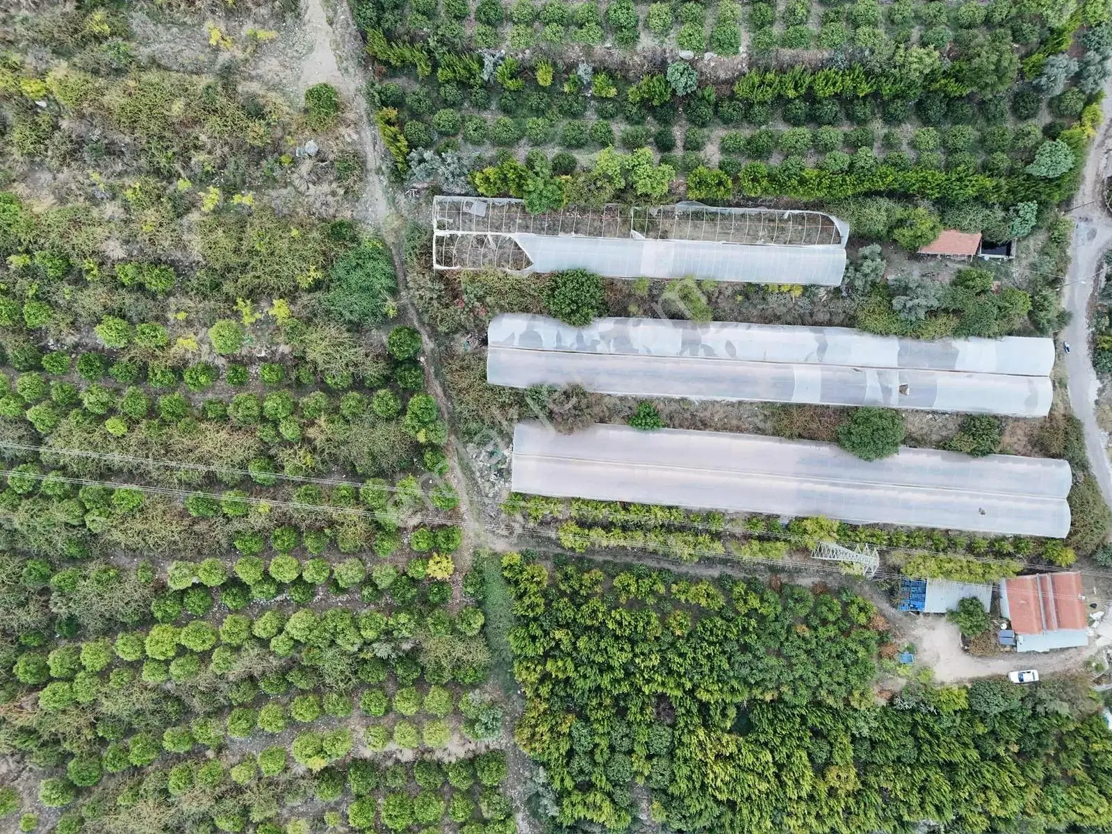 Full Deniz Manzaralı Bir Kısmı İmatlı Finike De Arsa Ve Tarla — fotoğraf 16