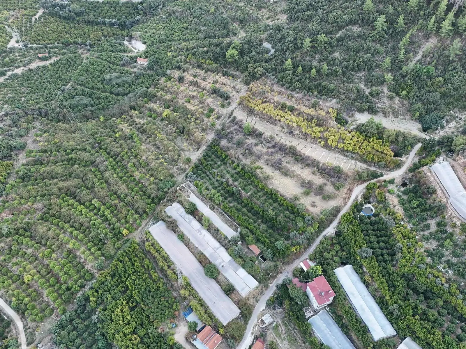 Full Deniz Manzaralı Bir Kısmı İmatlı Finike De Arsa Ve Tarla — fotoğraf 17