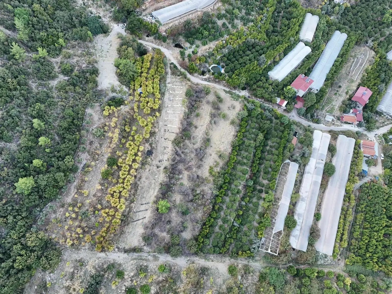 Full Deniz Manzaralı Bir Kısmı İmatlı Finike De Arsa Ve Tarla — fotoğraf 24