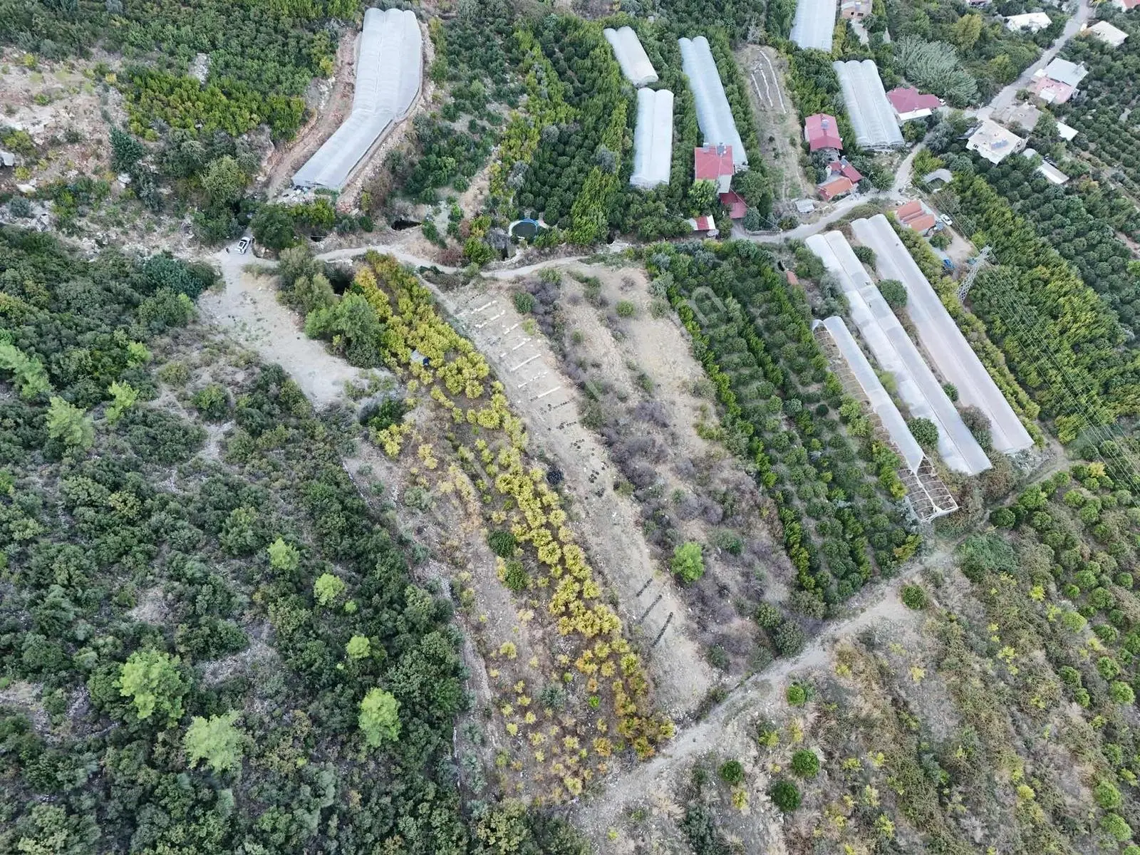Full Deniz Manzaralı Bir Kısmı İmatlı Finike De Arsa Ve Tarla — fotoğraf 25