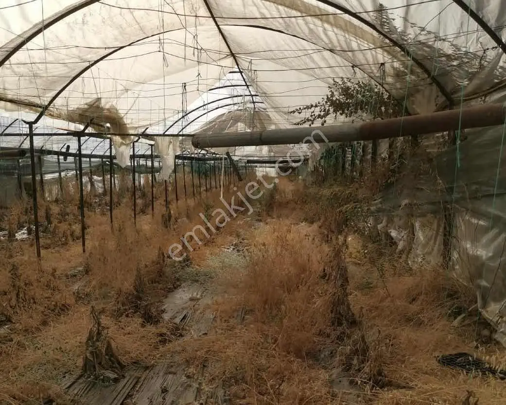Full Deniz Manzaralı Bir Kısmı İmatlı Finike De Arsa Ve Tarla — fotoğraf 27