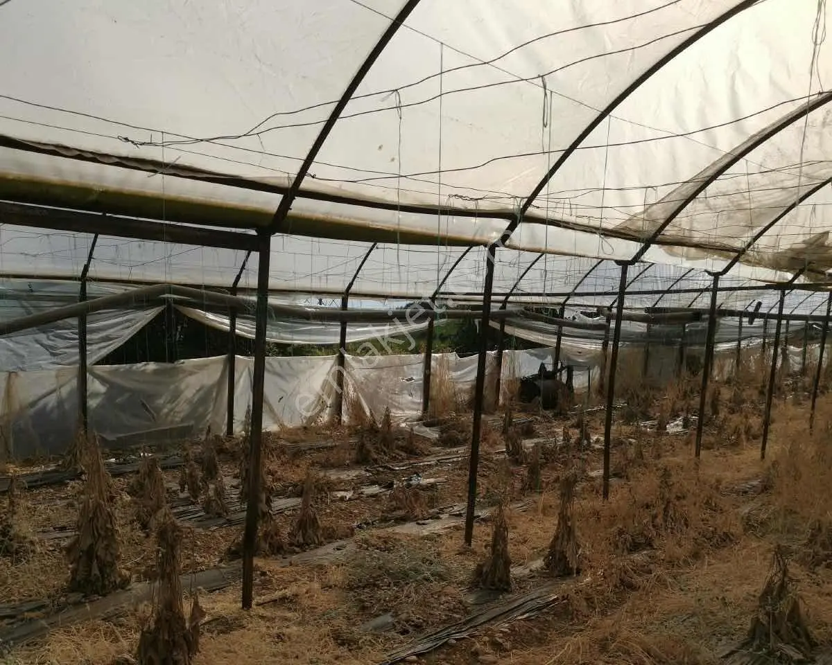 Full Deniz Manzaralı Bir Kısmı İmatlı Finike De Arsa Ve Tarla — fotoğraf 29