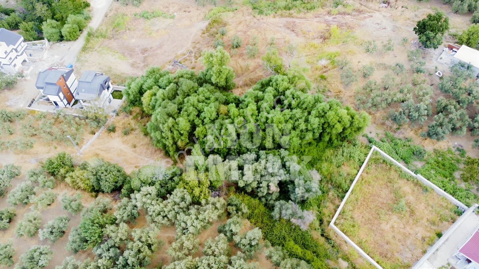 Lıon Emlak'tan Ocaklar Mahallesinde 331 M² İmarlı Arsa — fotoğraf 2