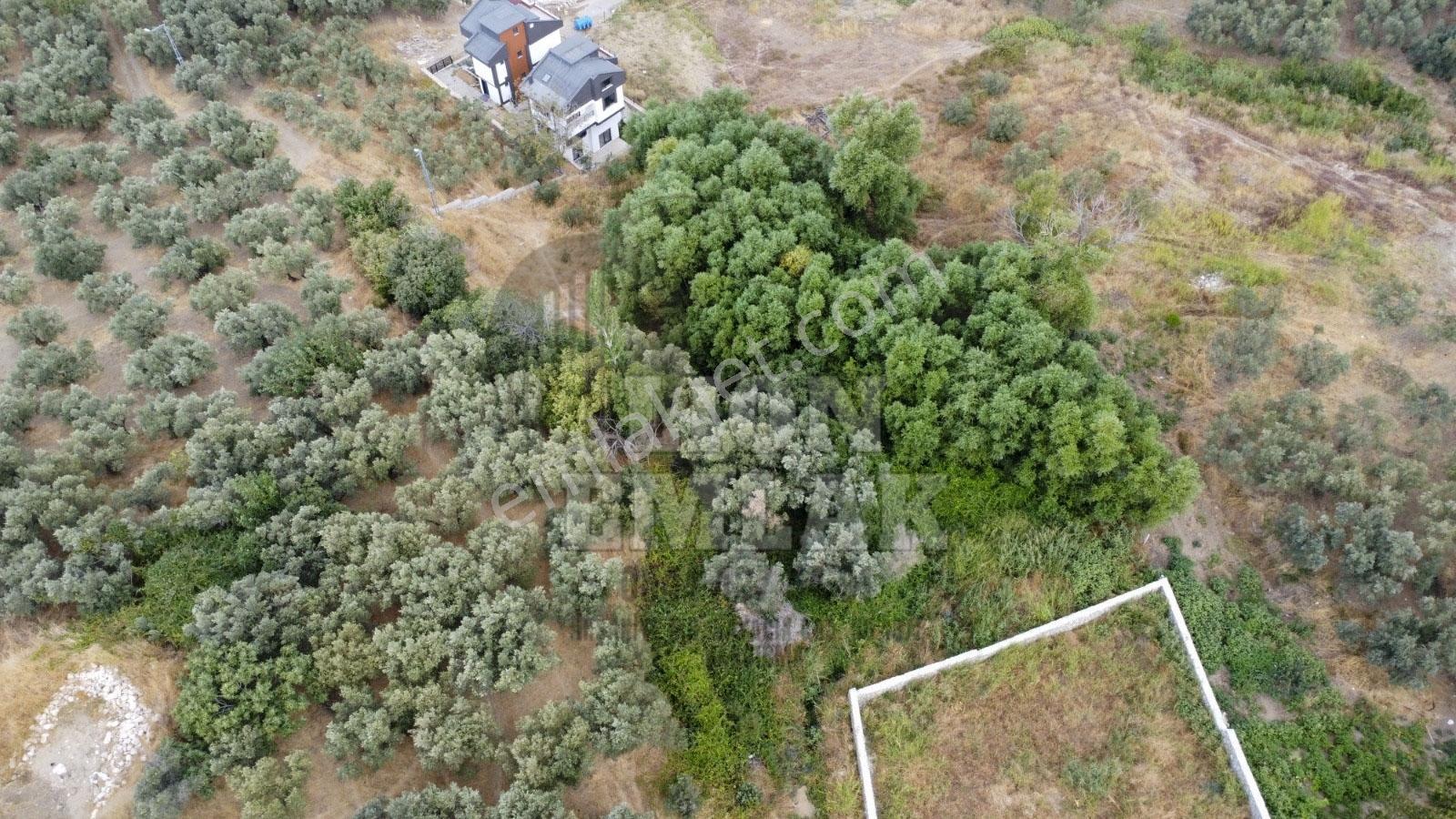 Lıon Emlak'tan Ocaklar Mahallesinde 331 M² İmarlı Arsa — fotoğraf 5